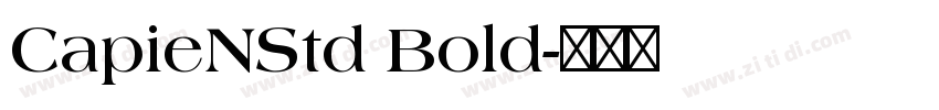 CapieNStd Bold字体转换